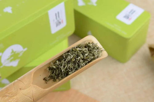 五星級園區建設的 名山做法