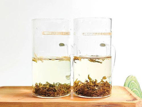 炒青與烘青茉莉花茶的對(duì)比,三萬昌碧螺茉莉?qū)Ρ烫讹h雪特級(jí)茉莉