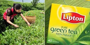 中國茶葉產業集群品牌聯盟問世 能為行業帶來什么