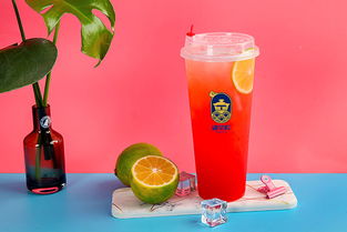 嘟茶院 茶飲店增長(zhǎng)迅速,飲品品牌如何分一杯 羹