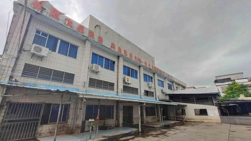 我為群眾辦實事 恩平昌聯(lián)茶葉助力群眾幸福感持續(xù)提升